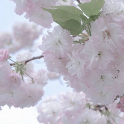 烟台FurryQQ群介绍